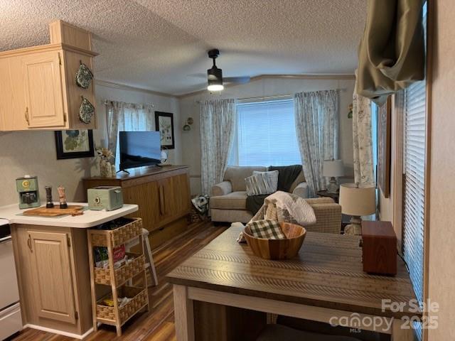 103 Holly Harbor Trl Unit 348A, Mount Gilead, NC 27306 - living room featuring a ceiling fan, dark wood finished floors, and a textured ceiling