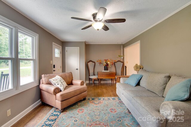 1783 Goodman Lake Rd, Morganton, NC 28655 - photo 13