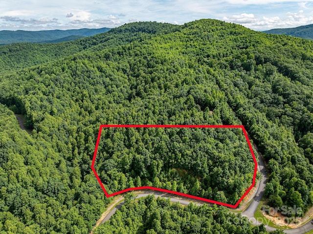 155 Big View Dr Unit 155, Marion, NC 28752 - photo 3
