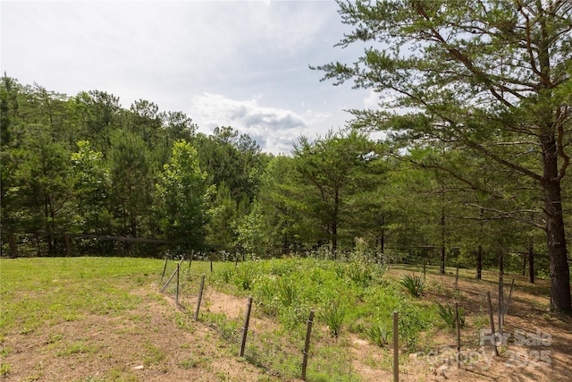 206 Legend Dr, Mill Spring, NC 28756 - photo 25