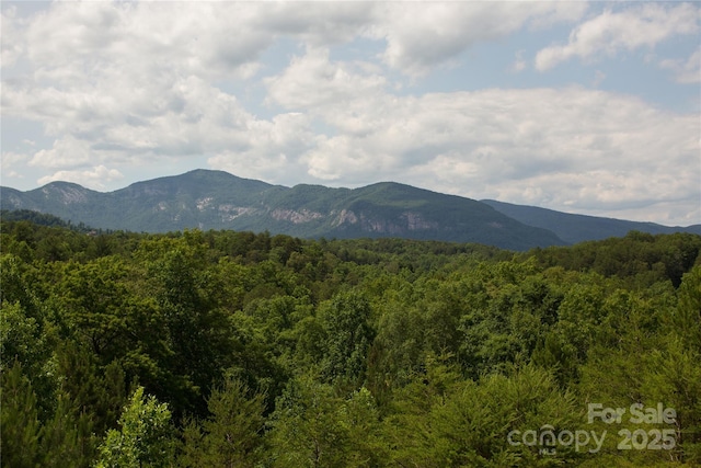206 Legend Dr, Mill Spring, NC 28756 - photo 26