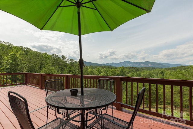 206 Legend Dr, Mill Spring, NC 28756 - photo 40
