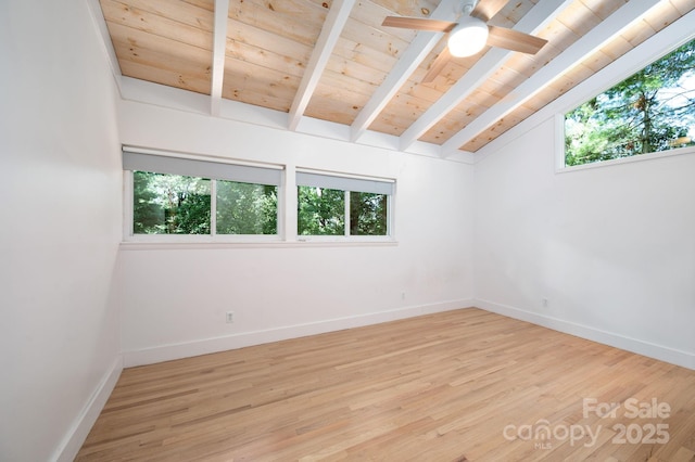 10 Munn Dr, Asheville, NC 28805 - photo 21