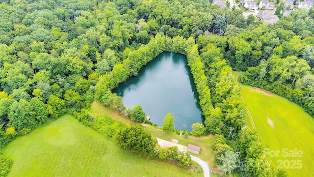 15804 Fairfield Dr, Matthews, NC 28104 - aerial view of a nearby body of water