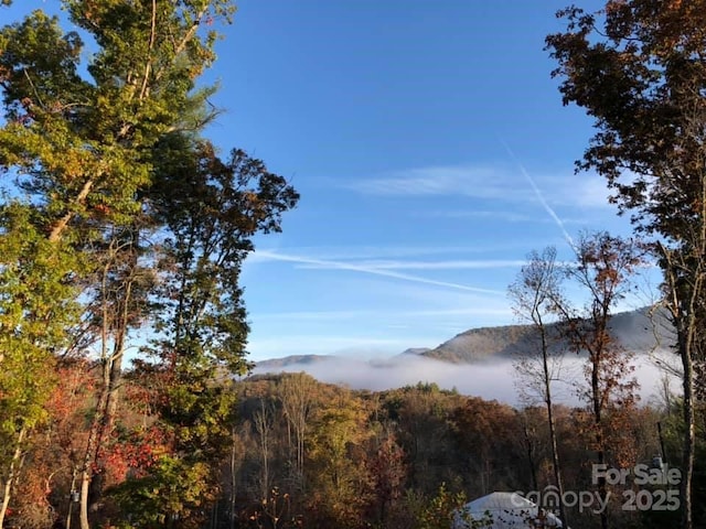 266 Egret Ln, Sylva, NC 28779 - mountain view featuring a forest
