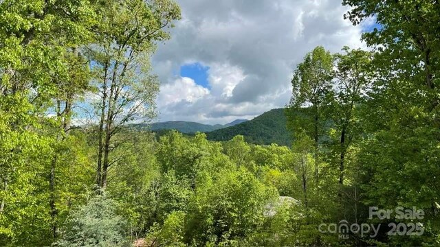 266 Egret Ln, Sylva, NC 28779 - view of mountain backdrop with a heavily wooded area