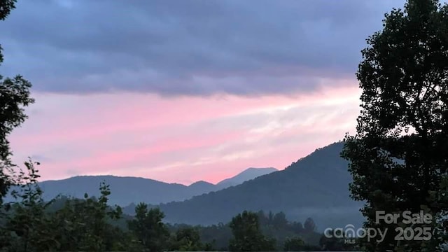 266 Egret Ln, Sylva, NC 28779 - view of mountain backdrop