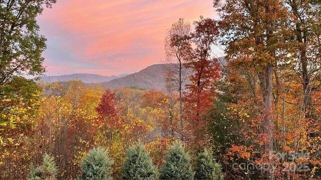 266 Egret Ln, Sylva, NC 28779 - view of mountain background with a forest