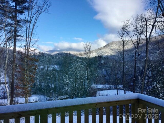 266 Egret Ln, Sylva, NC 28779 - mountain view