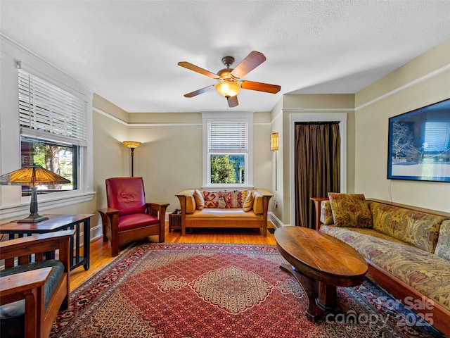 15 Pearson Dr, Asheville, NC 28801 - photo 15