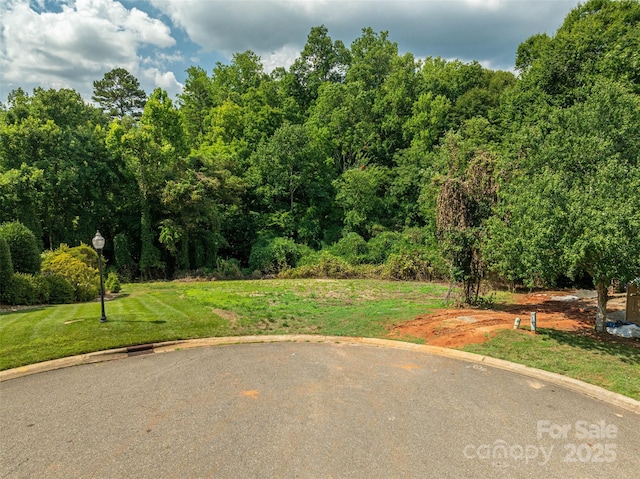 3757 Stoneycreek Ct, Gastonia, NC 28056 - photo 19