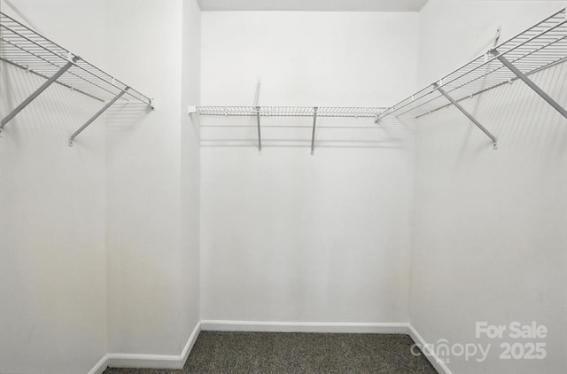 10306 Meadow Crossing Ln, Cornelius, NC 28031 - spacious closet featuring carpet floors
