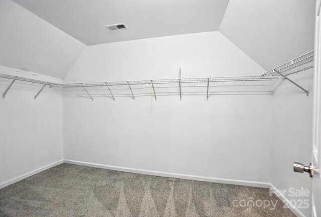 10306 Meadow Crossing Ln, Cornelius, NC 28031 - spacious closet with lofted ceiling and carpet floors