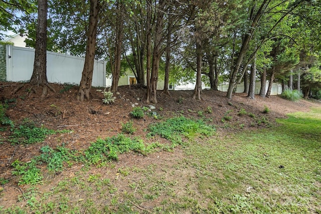 10306 Meadow Crossing Ln, Cornelius, NC 28031 - view of yard