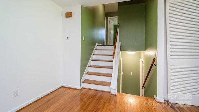 51 Bell Rd, Asheville, NC 28805 - photo 17
