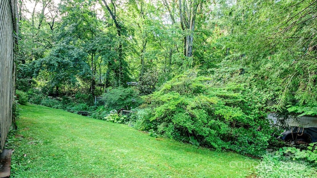 51 Bell Rd, Asheville, NC 28805 - photo 30