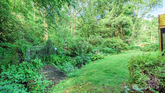 51 Bell Rd, Asheville, NC 28805 - photo 32