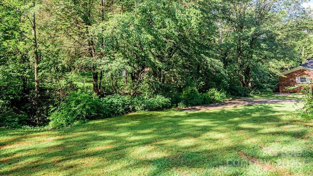 51 Bell Rd, Asheville, NC 28805 - photo 38