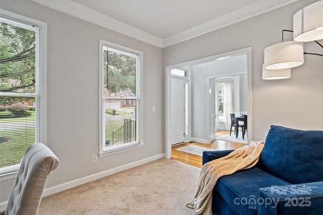 1529 The Xing, Rock Hill, SC 29732 - photo 8