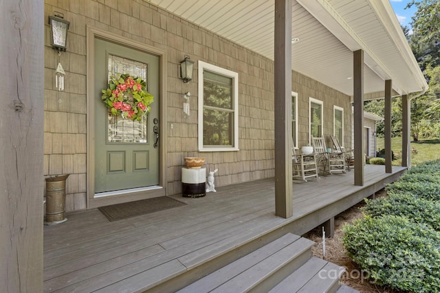 99 Pinecrest Estates Dr, Flat Rock, NC 28731 - view of porch