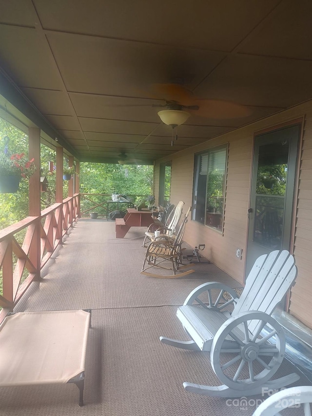 1241 Wipprecht Dr, Spruce Pine, NC 28777 - photo 14
