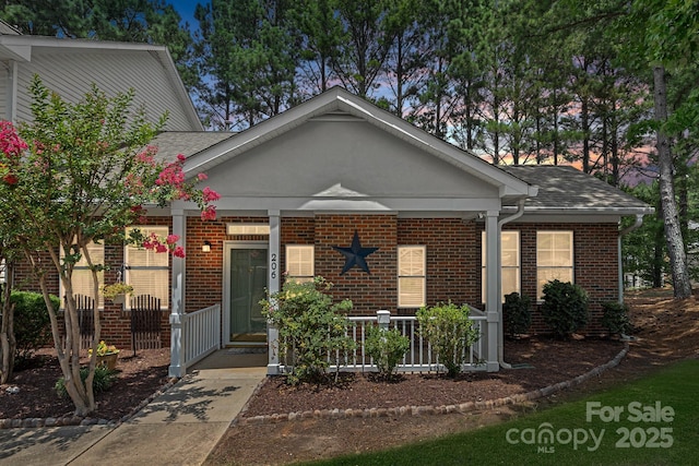206 Stone Village Dr, Fort Mill, SC 29708 - photo 1