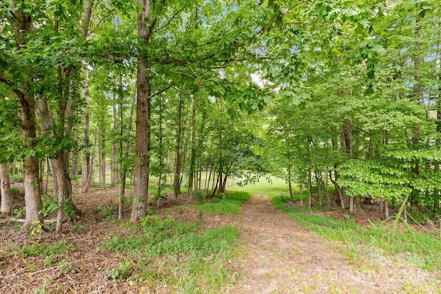 340 Harrison Rd, Roebuck, SC 29376 - view of road
