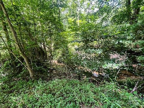 340 Harrison Rd, Roebuck, SC 29376 - view of local wilderness
