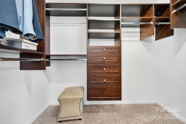 118 Milroy Ln Unit 171, Mooresville, NC 28115 - spacious closet featuring carpet flooring