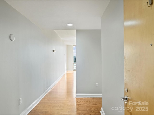 315 Arlington Ave Unit 901, Charlotte, NC 28203 - photo 4