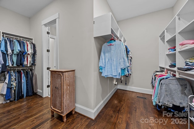 501 Preservation Dr, Fort Mill, SC 29715 - photo 24