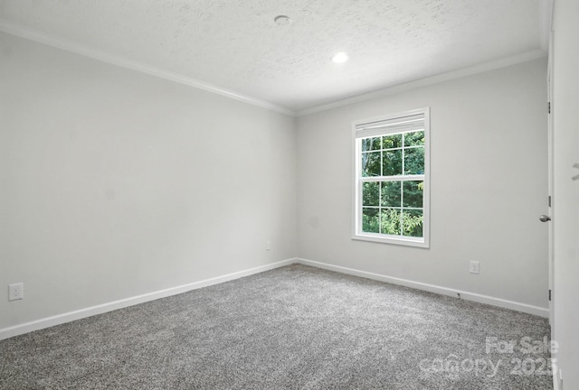 1841 Bascom Ln, Midland, NC 28107 - photo 21