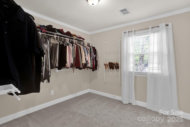 213 Turkey Hill Dr, King, NC 27021 - spacious closet featuring carpet floors