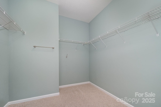 14836 Brotherly Ln, Charlotte, NC 28278 - photo 32