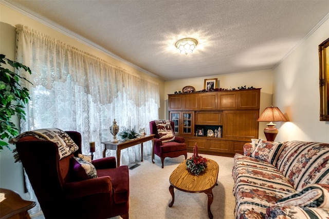 23 Cinder Rdg, Sylva, NC 28779 - photo 19