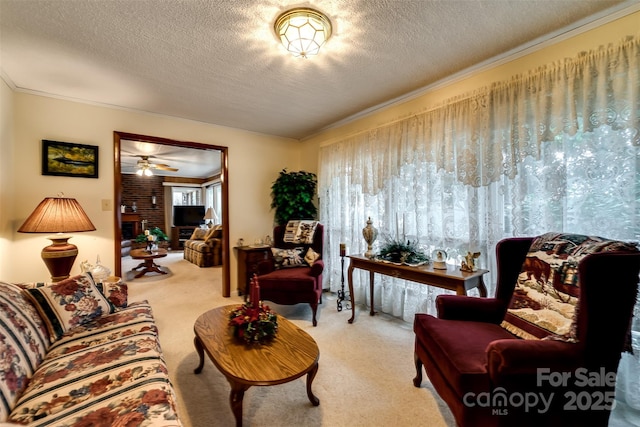 23 Cinder Rdg, Sylva, NC 28779 - photo 20