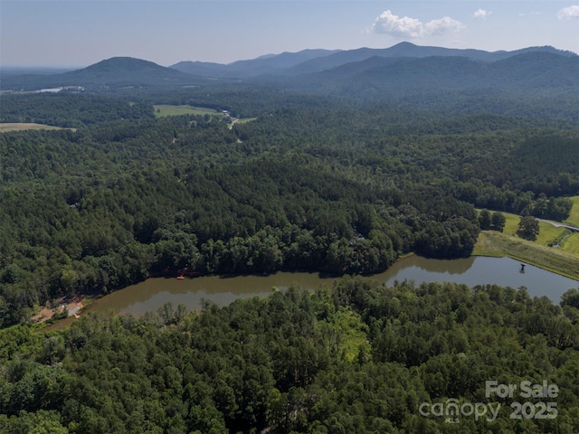 599 Shoal Creek Trl, Nebo, NC 28761 - view of property location featuring a heavily wooded area and a water and mountain view