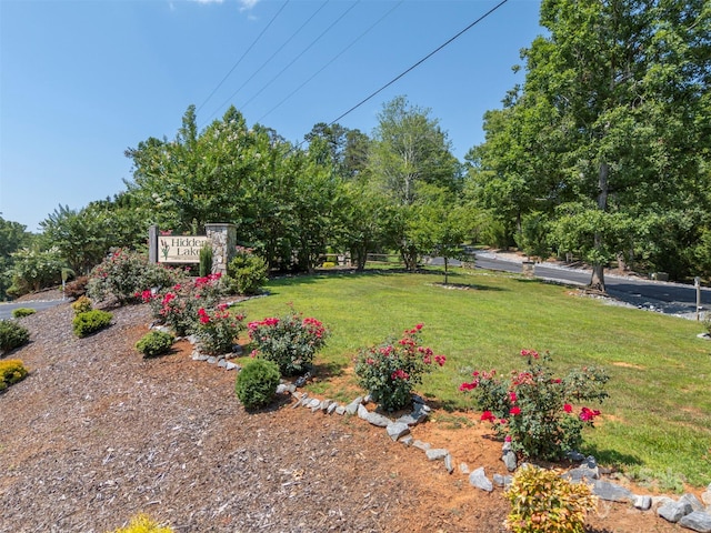 599 Shoal Creek Trl, Nebo, NC 28761 - view of grassy yard