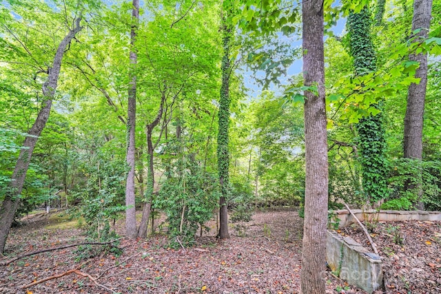 7420 Castlebar Rd, Charlotte, NC 28270 - photo 32