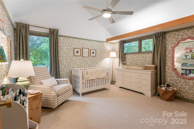 111 Bilberry Ln, Candler, NC 28715 - photo 27