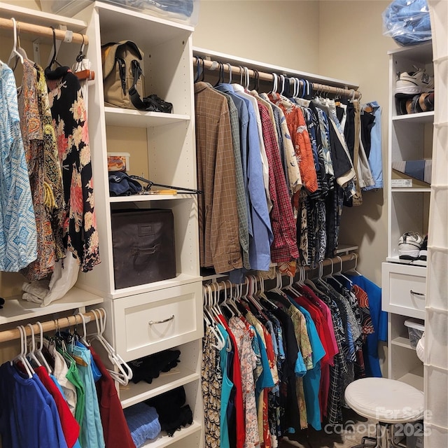 835C Wynnshire Dr Unit 45, Hickory, NC 28601 - view of spacious closet