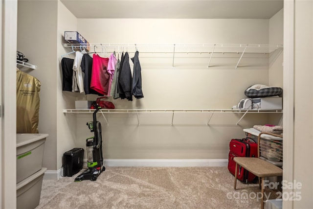 103 Steinbeck Way Unit D, Mooresville, NC 28117 - photo 18