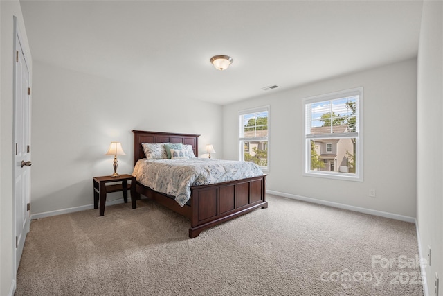 6118 Artigas Dr, Indian Land, SC 29707 - photo 17