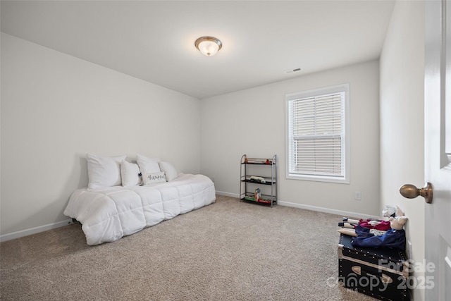 6118 Artigas Dr, Indian Land, SC 29707 - photo 20