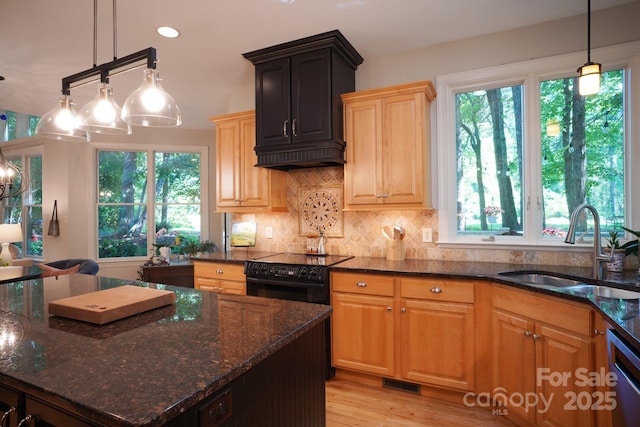 25 Madelyn Ln, Fairview, NC 28730 - kitchen with stainless steel dishwasher, plenty of natural light, dark stone counters, decorative backsplash, and recessed lighting