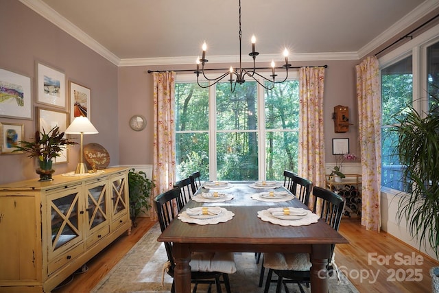 25 Madelyn Ln, Fairview, NC 28730 - dining room featuring a chandelier, light wood-type flooring, crown molding, and healthy amount of natural light