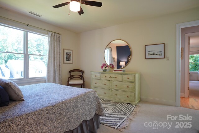 25 Madelyn Ln, Fairview, NC 28730 - bedroom with light carpet and a ceiling fan