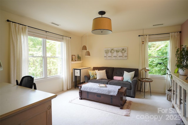 25 Madelyn Ln, Fairview, NC 28730 - living area with light carpet and healthy amount of natural light