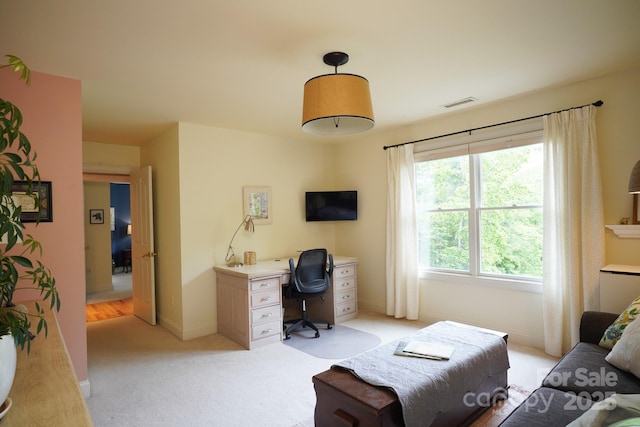 25 Madelyn Ln, Fairview, NC 28730 - home office featuring light colored carpet and baseboards