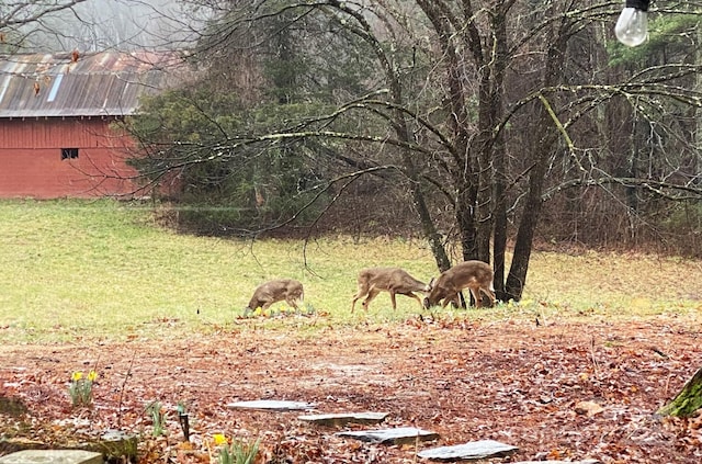 25 Madelyn Ln, Fairview, NC 28730 - view of grassy yard